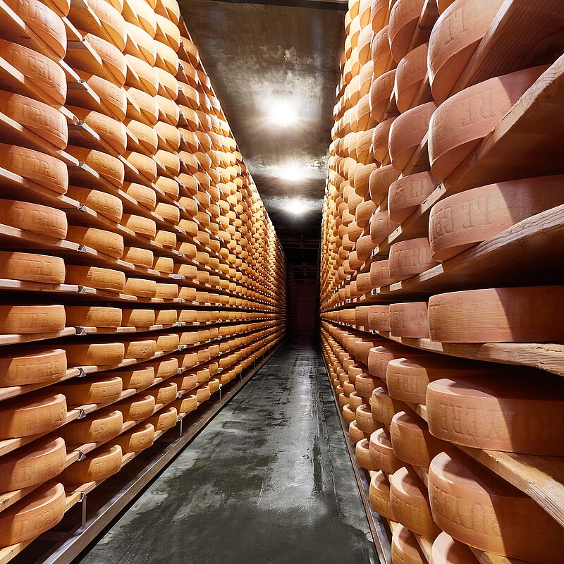 Le Gruyère AOP - Album - Fromage - Tradition - Suisse